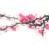You can almost smell them!
    Cherry Blossoms
             5x8
           $300