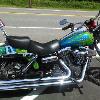 Steeler in Memory of Bike!